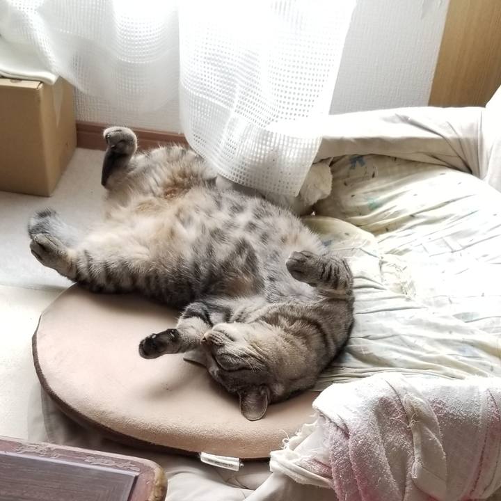 D98efca5 0b57 4431 9ff9 e2f20fc2bcdc 1690907742369