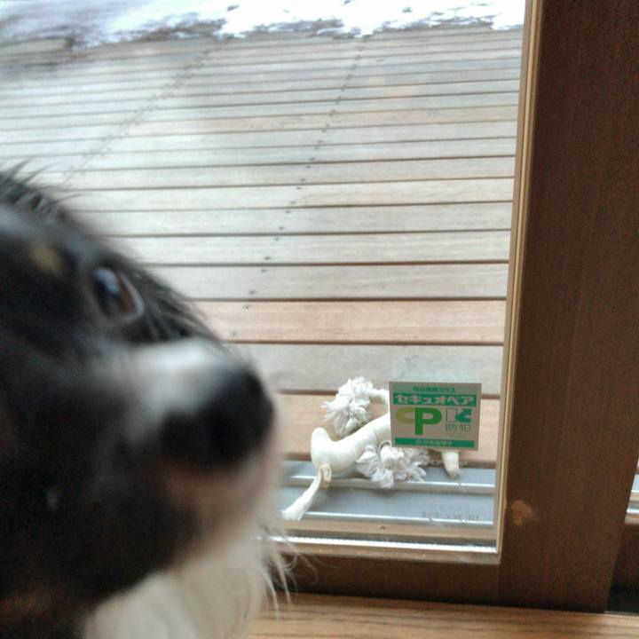 D98f1340 efee 4c89 b2f7 9e9872f5586d 1517265052970