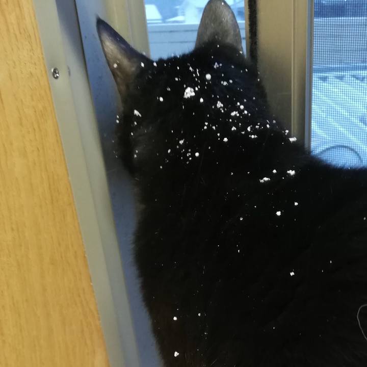 D98f261b de56 4990 8029 881aaf7b7b78 1674599961922