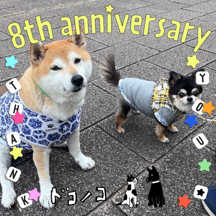 D98f46c5 411d 4ff2 ad21 66bdbd1b974f 1717665379588