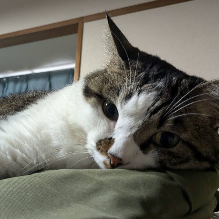 D98f4a11 40b9 489f 8b0f c9ed76f82d72 1721634980011