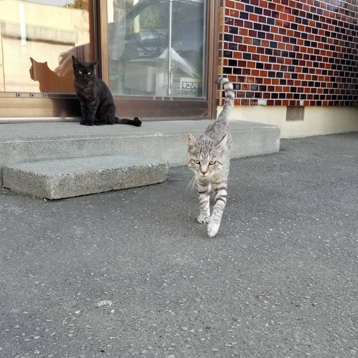 D98f7352 b75e 42d4 863f 33f589c66434 1664376564993