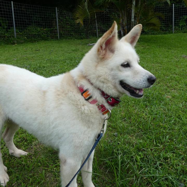 D98f7d2f 8fb5 4f1f 8f6e 8f7f76116138 1656429947256