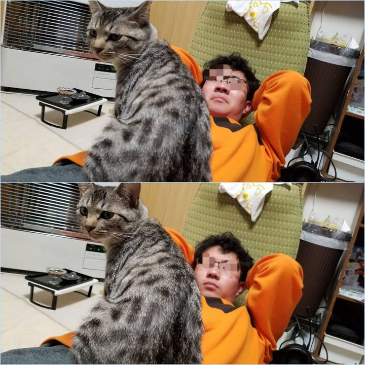 D98f98c6 3cdd 4f54 a3cd 6539329ce4d7 1679586600672