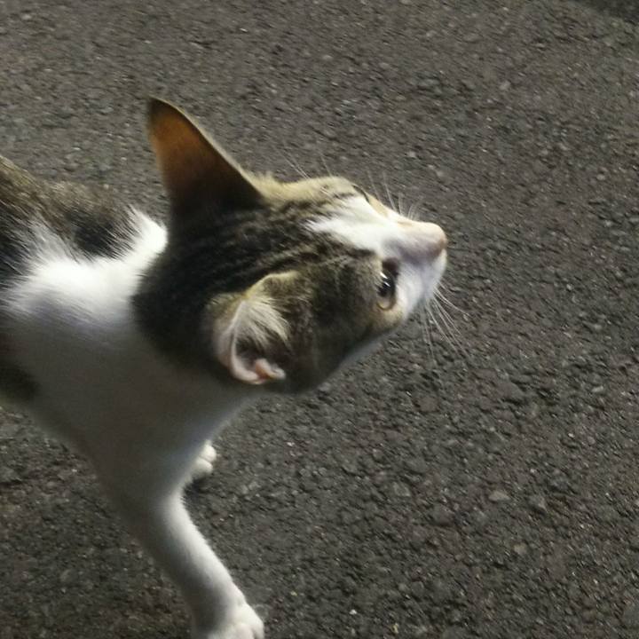 D98f9fde 463b 43b7 ac2d effcc59ecc9d 1533829565588