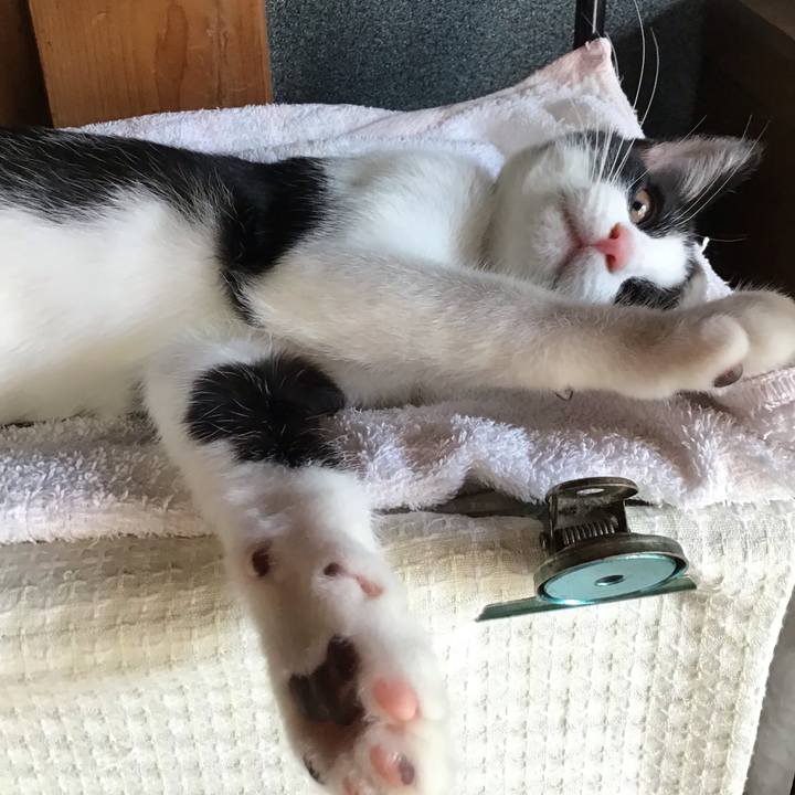 D98fb40d 72dd 46ec a575 855c1bbd99ff 1627687953835