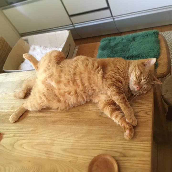 D98fd17a 1a43 4598 8b89 8f70ffb134c8 1591959271452