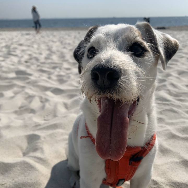 D98ff1c5 7eee 4873 93ba 2aacf497e405 1586362601628