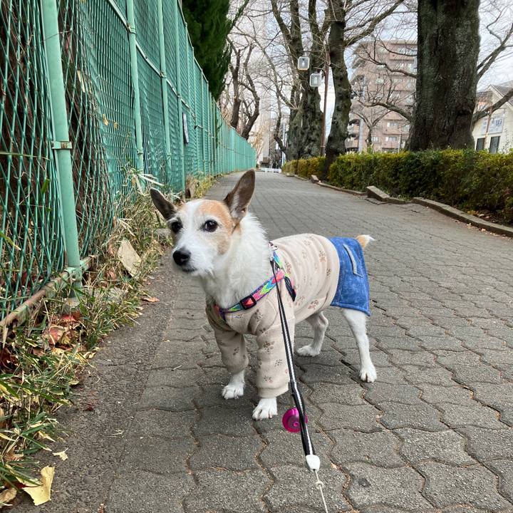 D98ffc3a 4196 41a6 8b63 c52a97f196a8 1736465160522