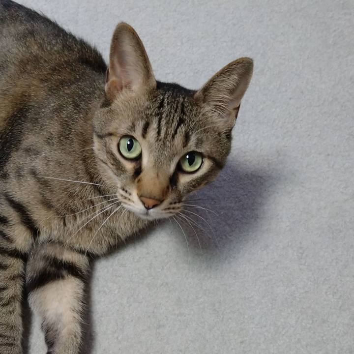 D990133a 44fc 4902 9b5e 8908f403b641 1659260182633