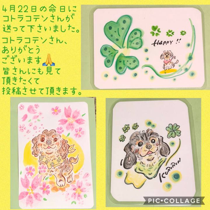 D99039d5 3fc9 40b7 8ee6 8a487b6ece8a 1557148552687