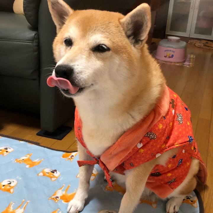 D9904300 86f5 46a9 883c 01af1f77fd5e 1569851145358