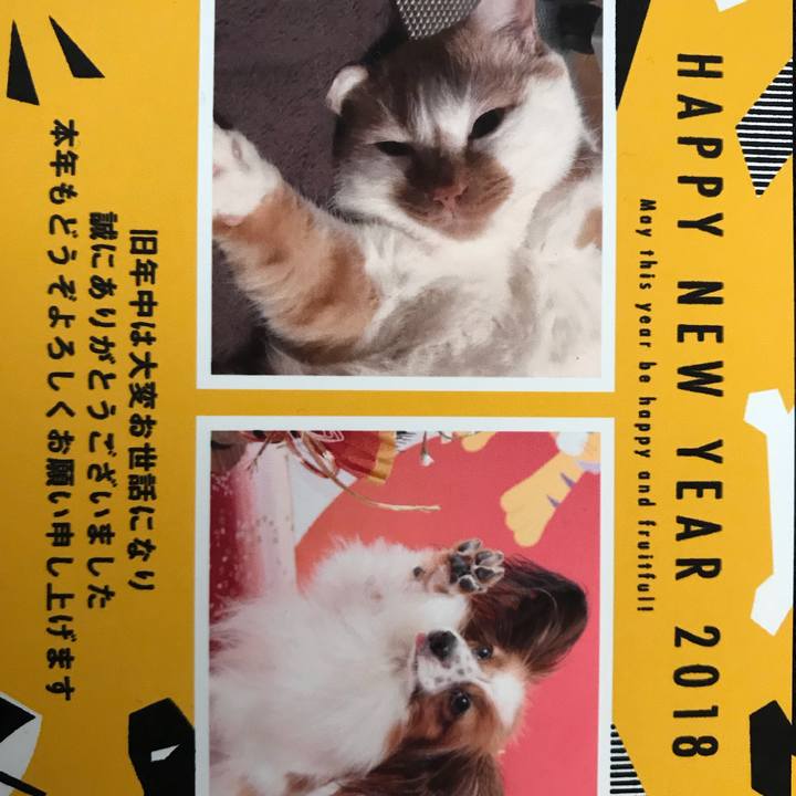 D99072dc 2520 43b0 8a61 071b517490d4 1515506045961