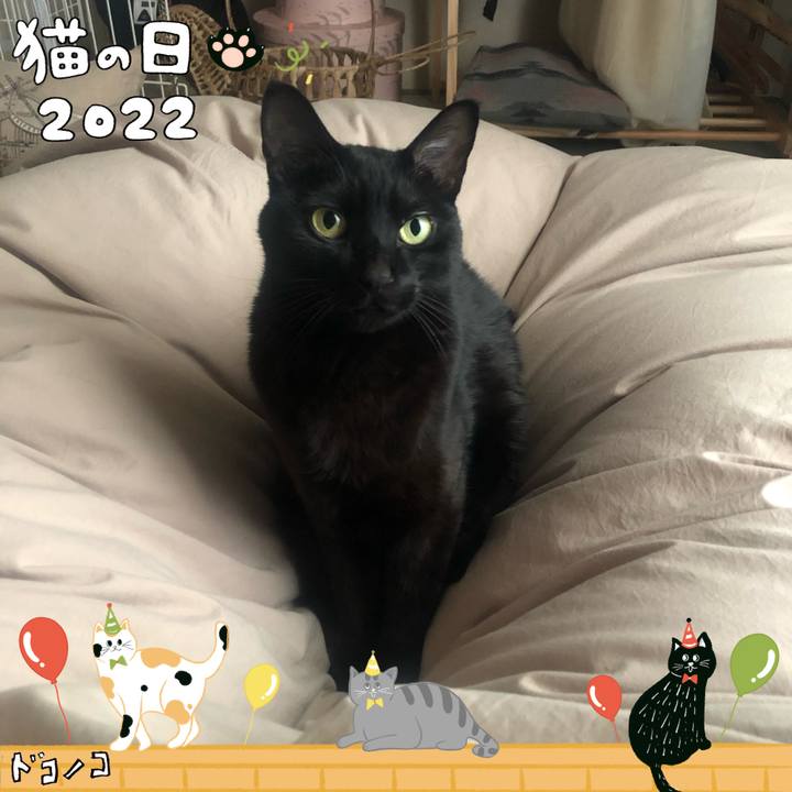 D990730a a0bc 485a b056 8655c42f62c9 1645493722412