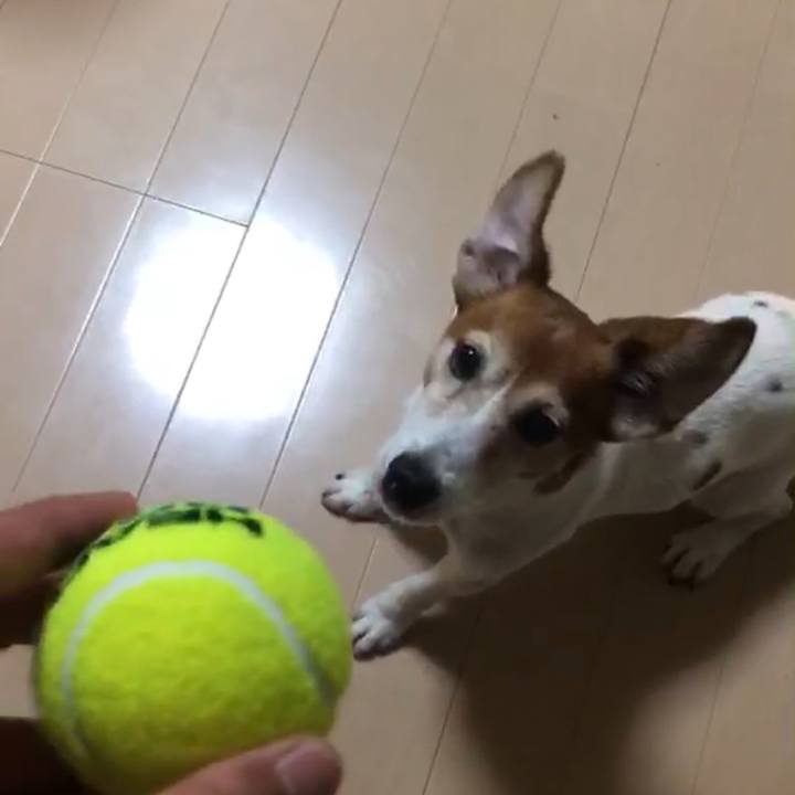 D990cf90 f758 4235 ad6e 9487c2b6aa8e 1530588437014