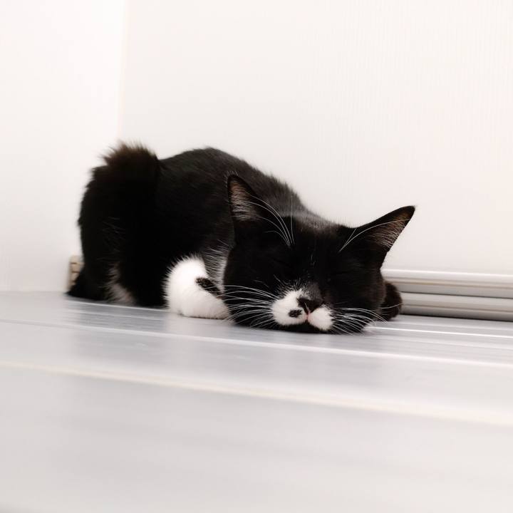 D9911b06 e024 4268 9728 634fbeade38b 1549642941575