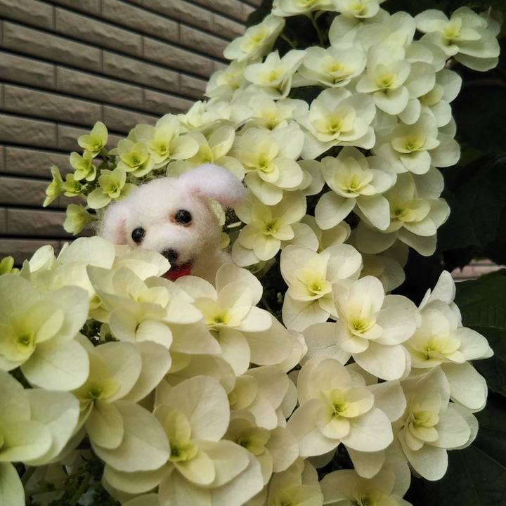 D991222c ab34 4d41 b7f5 45b2e68b862c 1622026306841