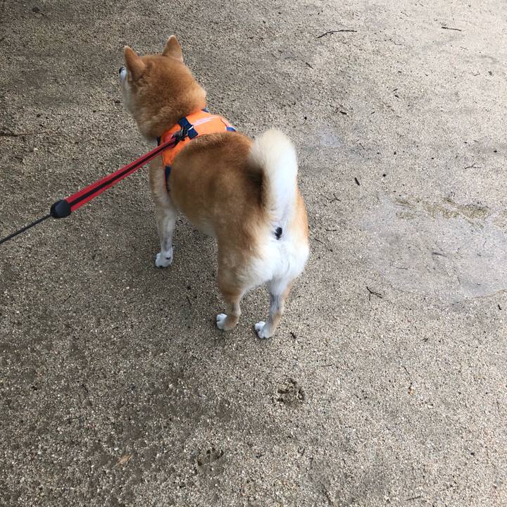 D9915879 ddf4 4aac 9392 ddd9d66afc0d 1561643232018