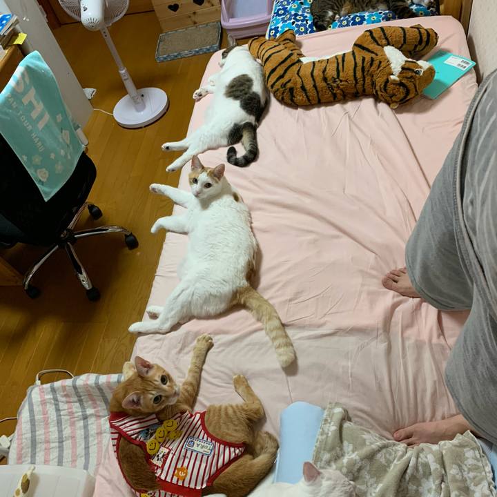 D99187f5 803e 4830 90da c717c93120bd 1592845346644