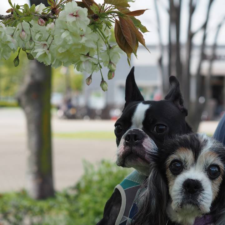 D99194c4 c16a 4ed6 8945 c095eae9785d 1617457914750