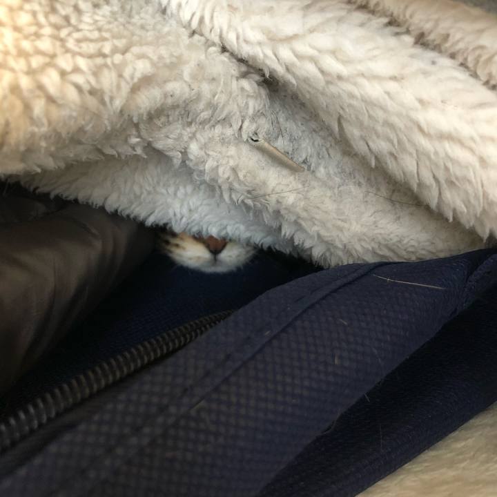 D991aaef 18d2 44c2 88e8 b70e82b5159c 1576198869276