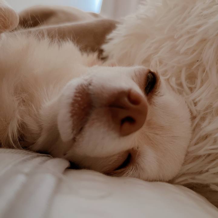 D991d42a 8f6e 41e3 926c bd0cf40089de 1682674099486