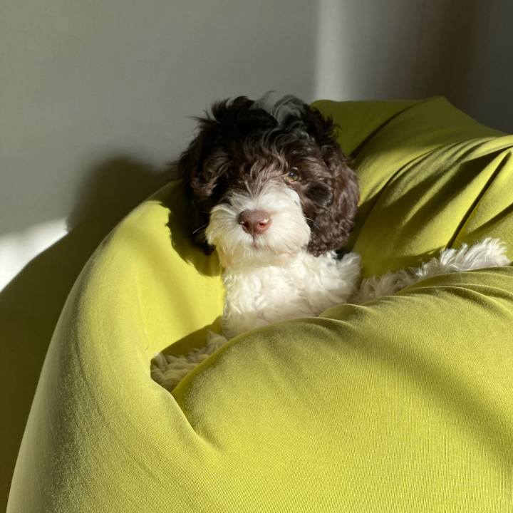 D9921af5 d6b5 45e0 ac23 982ee229ee4d 1609734188958