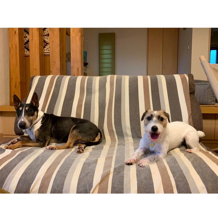 D9921fee 8f5b 4a0f a039 ccbbfa8676cf 1599391709884