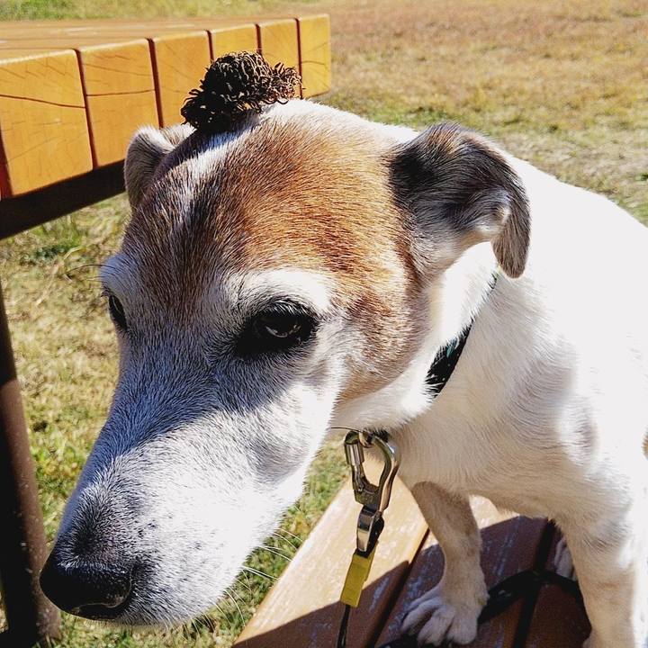 D9922845 db37 44a9 9c84 b78a4bff49c6 1573362373632