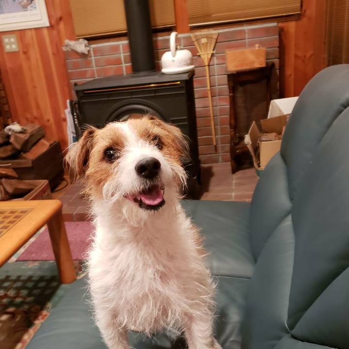 D9922b5a 2959 4f18 8d8d 4d5c58382202 1607161818342