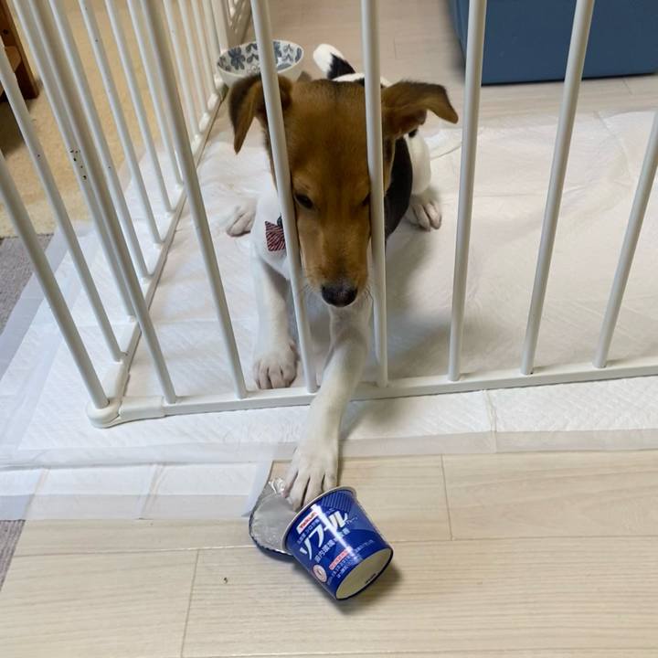 D9922c7a 3a65 410a 8e76 fca40e145498 1748386639974