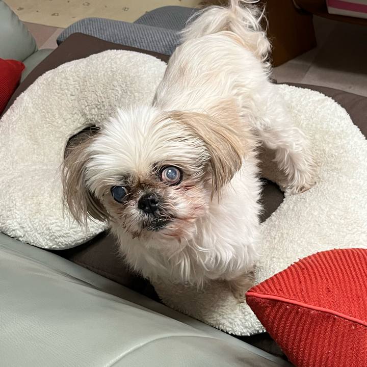 D9923c4a f5e6 449b bb08 8bd9b1be6e4f 1734765153818