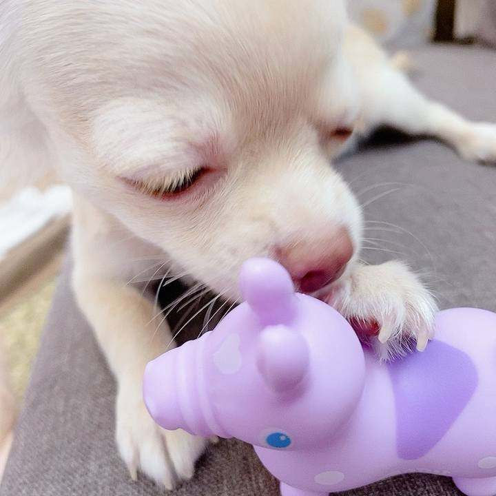 D9924814 e952 4e6b a756 561e86820d98 1594703562816