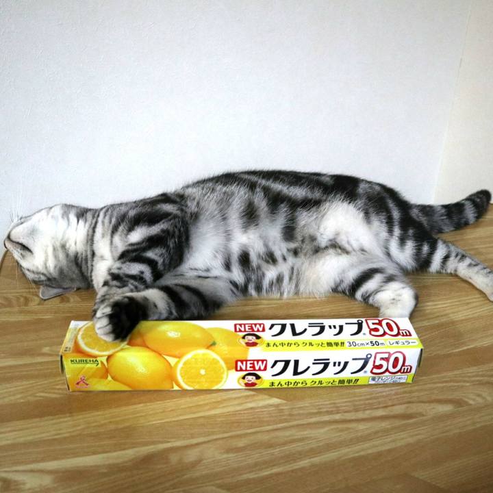 D9925a20 9af3 4eb8 8040 9c840b8b2e63 1585218754850