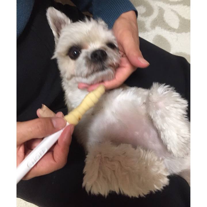 D9929519 8f20 418a a706 32a748969143 1549281076887