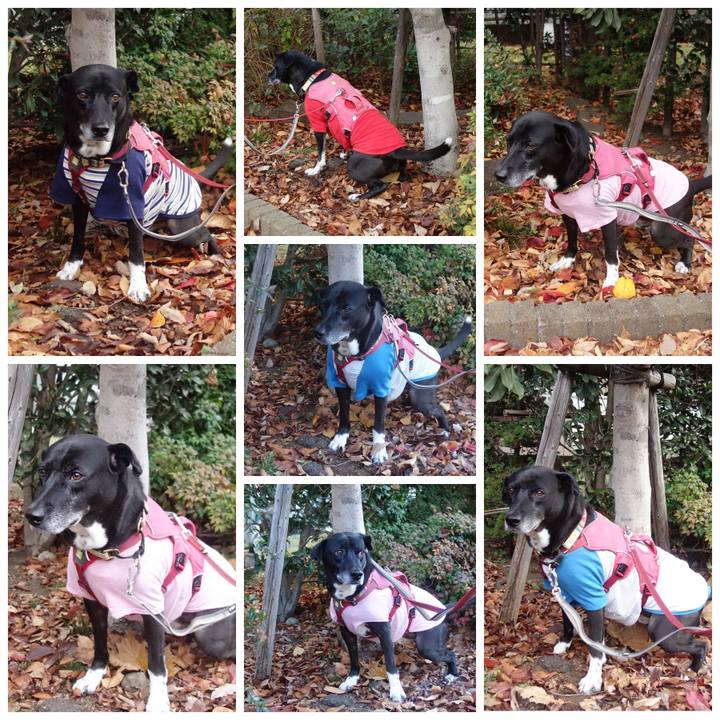 D992ef03 6791 4cbd 89ad e6bd79712b19 1703122630041