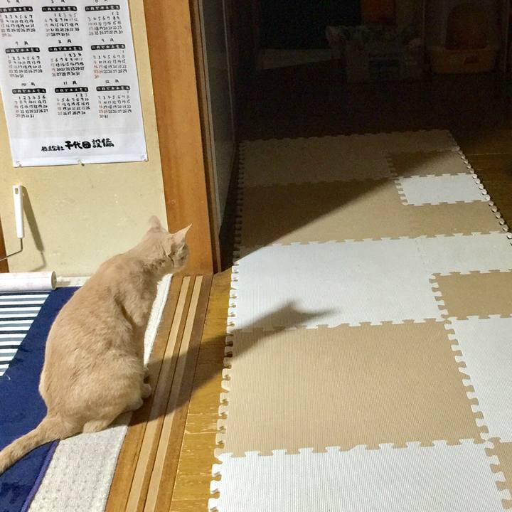 D9931bdb 2605 48e3 8227 ffed08e219d4 1534946759056