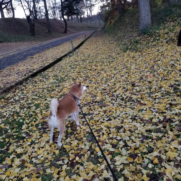 D9931cb6 4a19 4584 80e7 72e2cea1622a 1668410004293