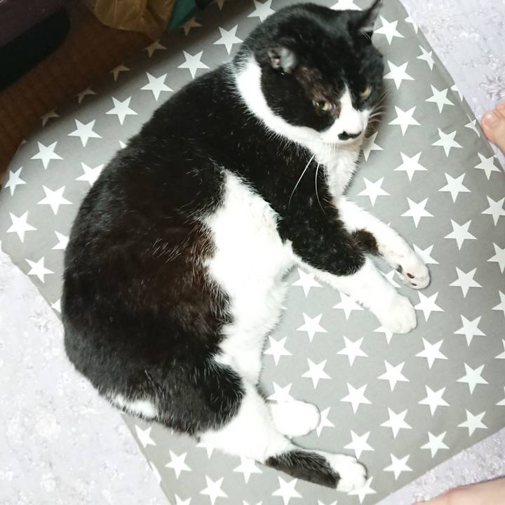 D9934277 c590 40f7 83e3 b2c9c0f8155d 1556595858109