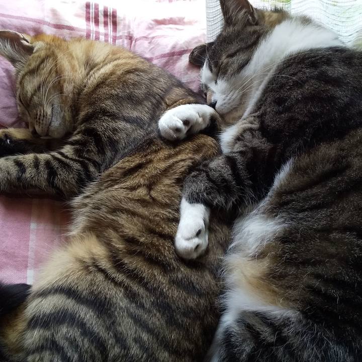 D9935f37 2113 4f6d 84f2 8656c58e2519 1653102400245