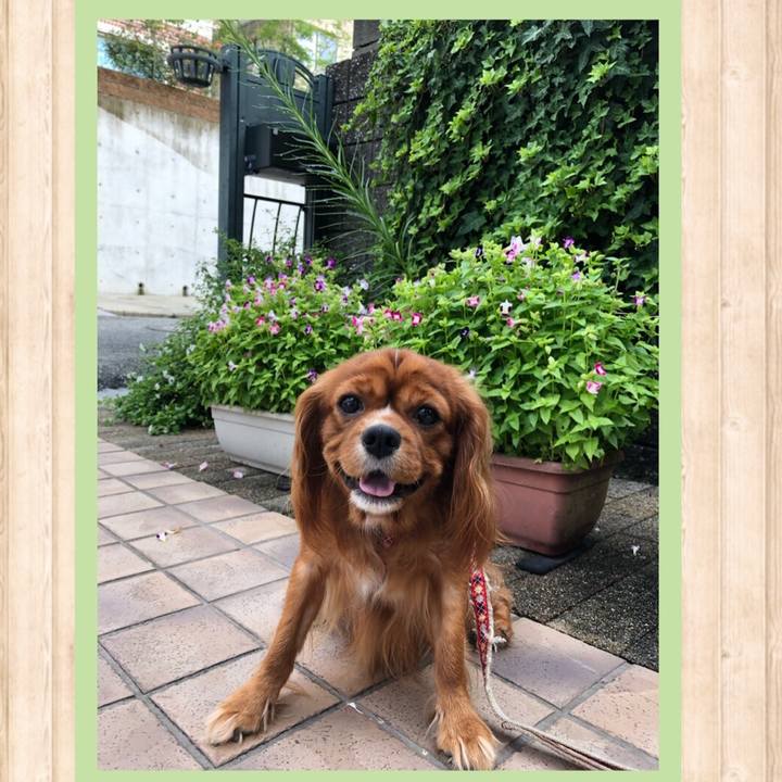 D99374e1 b3c3 4f3e a755 4081722bd779 1566602327529