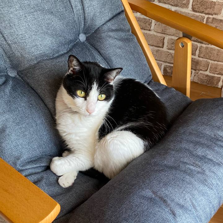 D993b08c 88ac 4256 8f65 6bf323cdf0f8 1705711481322