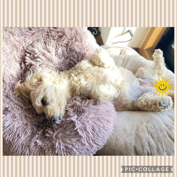 D993c00b 77c2 4c74 9ede c179e777ef33 1769160446252