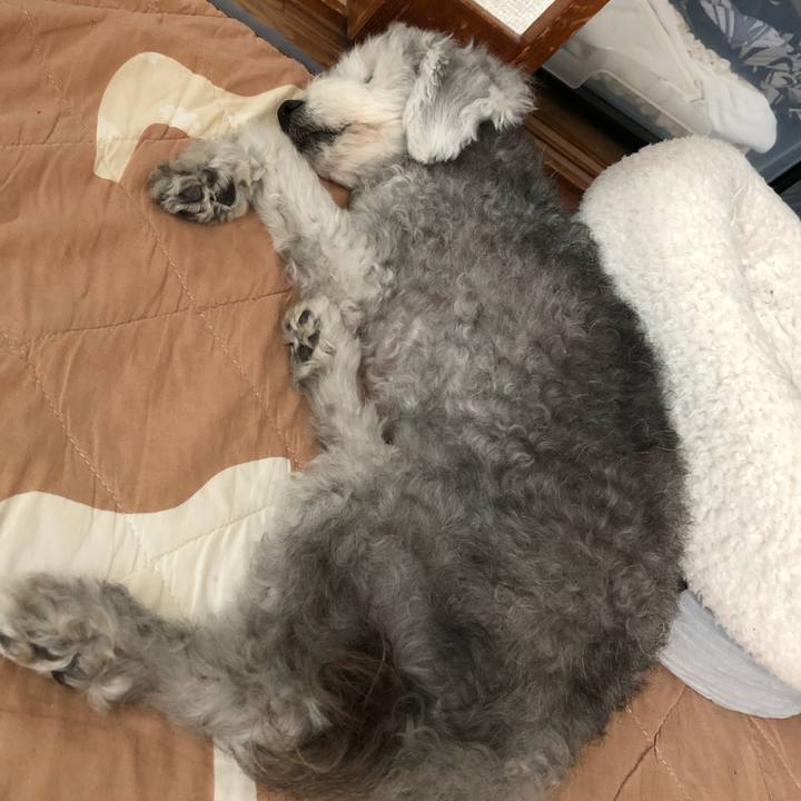 D993eb19 3959 49ca 9c65 8b60e824945a 1601703174983