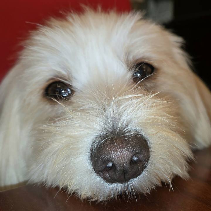 D993f8f6 a803 409b be52 faabebac0140 1756188815439