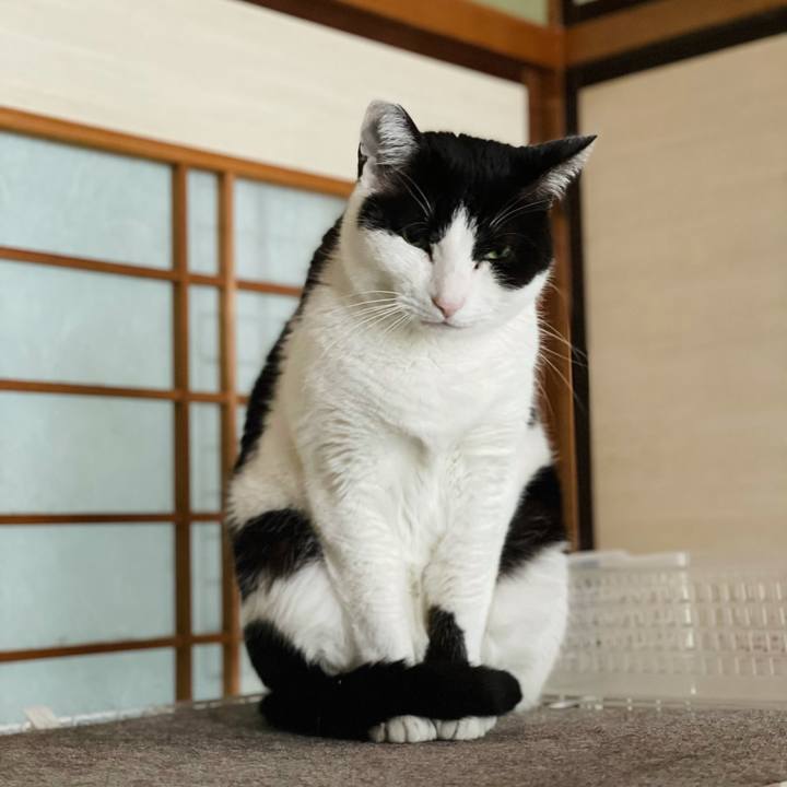 D9940b4e 7a71 42bb a1a7 7bca1e852ce1 1620179200312