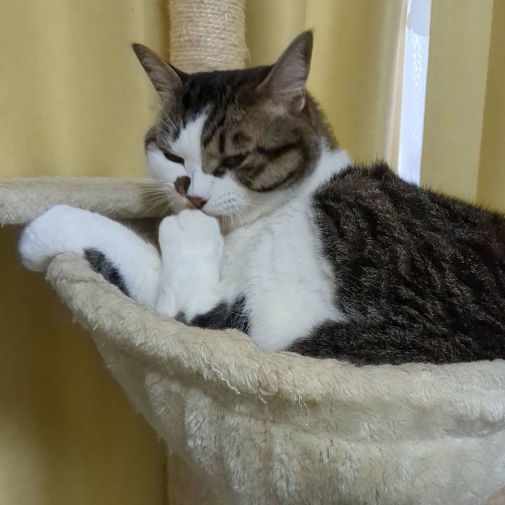 D99416fc 0924 4058 b458 e4dde724cc2d 1720667769110