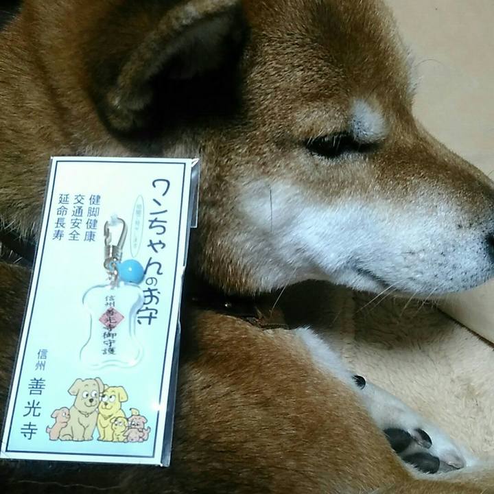 D9942328 c2b0 4e8b b5eb b657432f2638 1574608040413