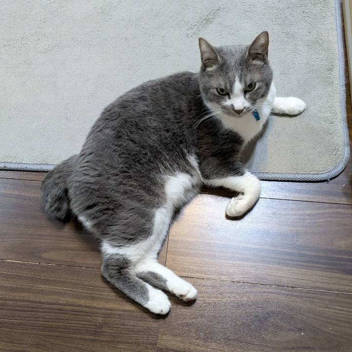 D9948243 5151 4a23 b792 02f4b101e574 1771940073998