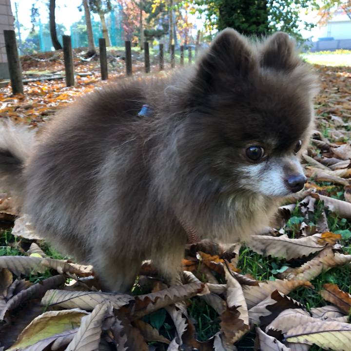 D9948ff8 6472 4135 ac38 317927e66670 1604471966991